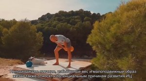 Идиопатический цистит у кошек