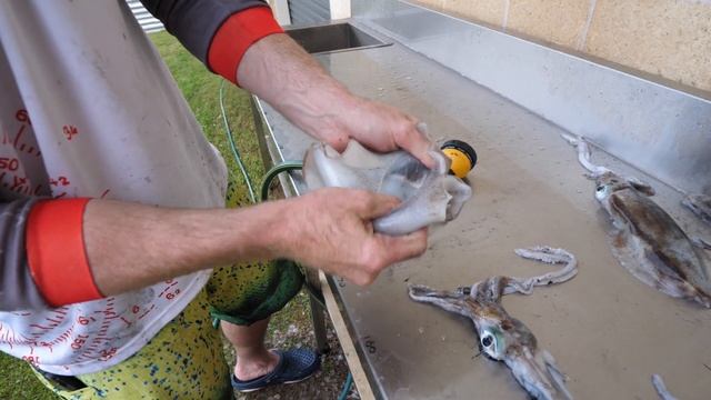How to Clean Squid | Fisho App смотреть онлайн