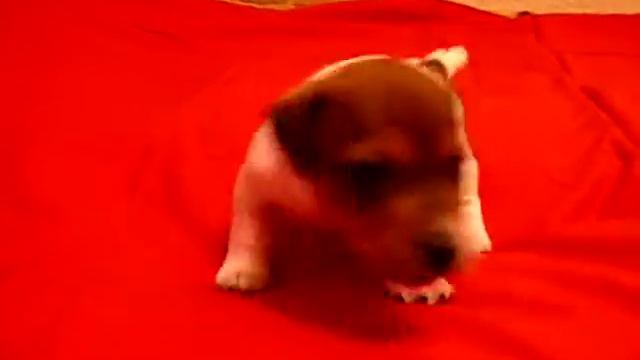 Мальчик Тусин смотреть онлайн