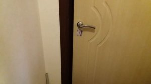 Публичный договор оферты от Цифрал-Сервис