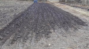 Почти зимняя пахота огорода минитрактором Малыш