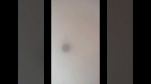 Сделал густую пенку в капучинаторе Kitfort kt-780