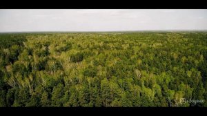 Красный Яр на северном объезде Новосибирска. Ты неси меня река