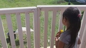 Навес для птиц ????