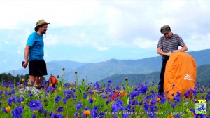 Алтай 77 ИЮНЬ 2016 ►► Альпийские луга Горного Алтая. Путешествие через три горных хребта.mp4