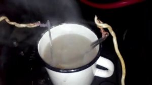 Автомобильный кипятильник