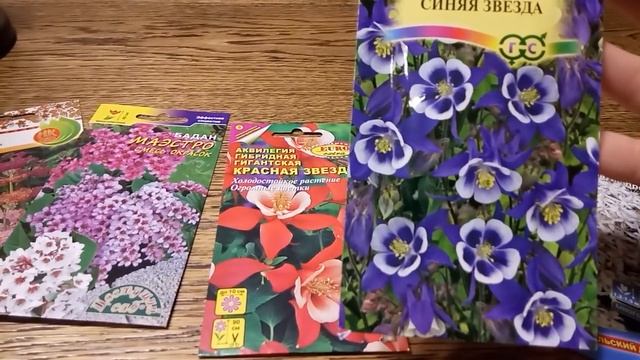 Самые любимые, долгоцветущие многолетние цветы! Обзор.