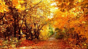 Осень в Нью-Йорке 2000/Autumn In New York/Elegy for Charlotte