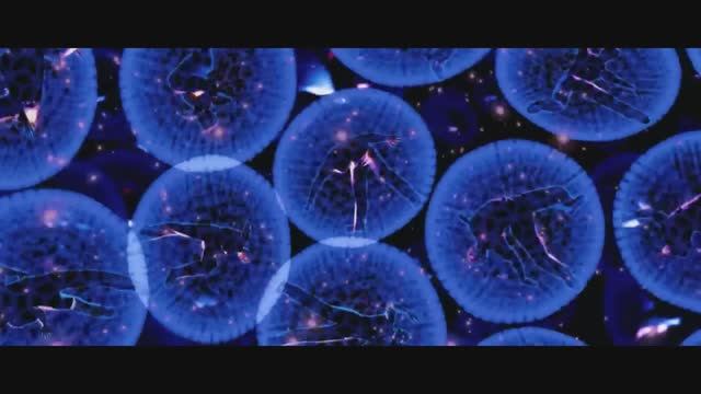 «Generation „П“». Кавер-трейлер смотреть онлайн