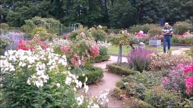 2022 Sonntagmorgen im Rosengarten in Planten un Blomen, Teil2 смотреть онлайн