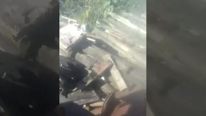 Циркулярка с бензопилы!!!Meirmanoff"