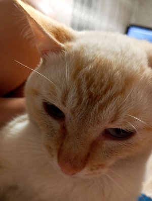 Абокситная, береходите скучно нас без вас