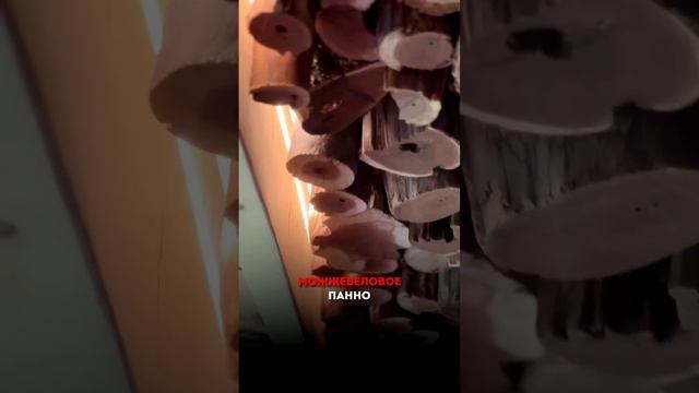 Красивая и эстетичная парная из дерева #shorts #artkelo #баняизбревна #баня