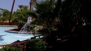 STEIGENBERGER Al Dau Beach Hotel - Rundgang Pool