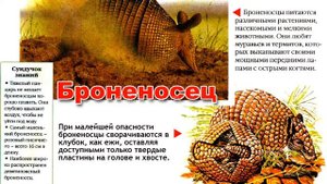 Энциклопедия для детей. Буква Б. Броненосец. Educational video.