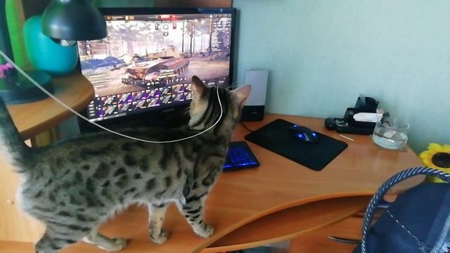 Главный по ремонту