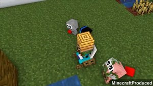 Monster School : Baby Zombie Can't Walk - Sad Story - Minecraft Animation
