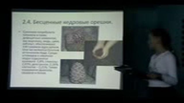 Кедр -- дерево жизни смотреть онлайн