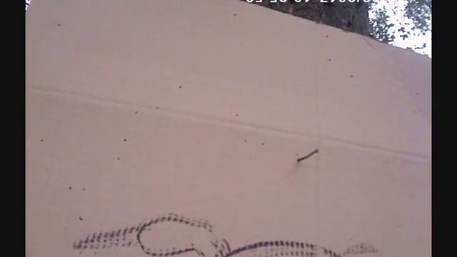 Отстрел патронов с самолитной дробью 5