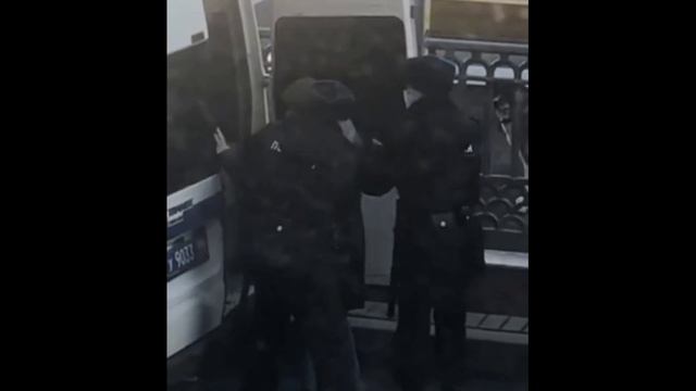 Задержание мужчины с собакой на Патриарших прудах смотреть онлайн