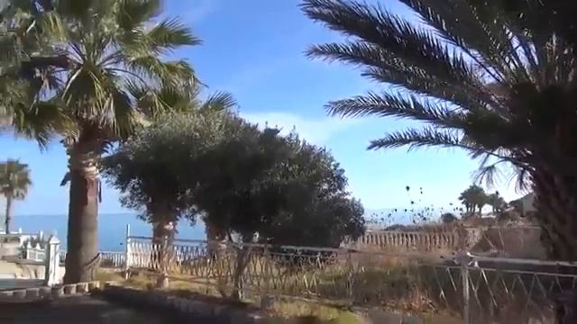 ЦЕЛИ СБЫВАЮТСЯ С КОМПАНИЕЙ МИЛЛЕНИУМ смотреть онлайн