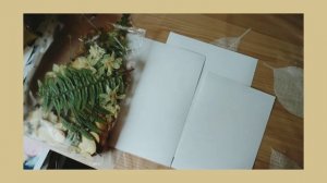 Картины из сухих цветов DIY