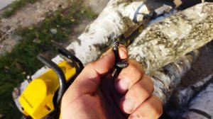 Лучшая бензопила среди недорогих. проверено годами!