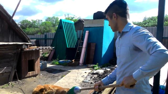 как подружиться со злой собакой