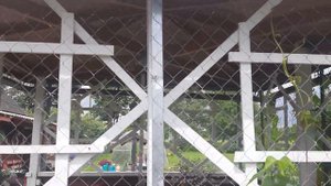 Дачные поделки-самоделки.