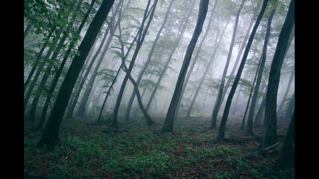 Очень Красивая/// Мощная Музыка для души///Потрясающие треки