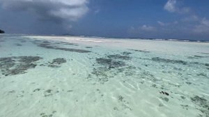 Пляж отеля Хилтон Лабриз Анс-ла-Пасс, замечательный пляж на западном берегу острова Силуэт.