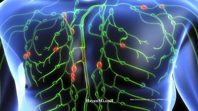 Sequence 10 смотреть онлайн