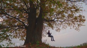 Микс с Cаксофоном - музыка для кафе, бара, ресторана - Syntheticsax & Dj Sandr - Запись из Яхт клуба