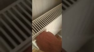 как и сколько горят брикеты нестро в котле КС-ТГ 10 часть 2