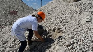 Мастер-класс по методике отбора проб сырья ПАО "НК"