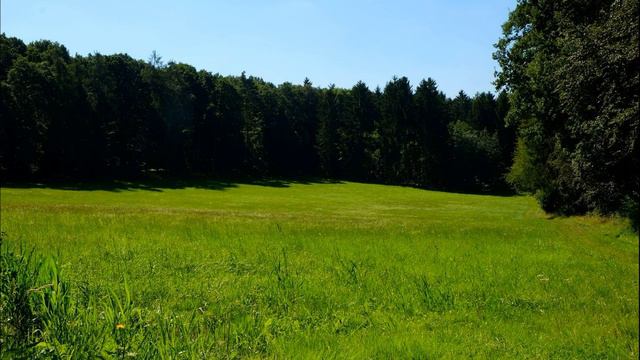 Что за аномалии там происходят. Мистические истории. Аудио-истории смотреть онлайн