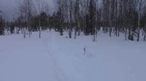 НЕ ОЖИДАЛ ТАКОГО ПОВОРОТА!!! В ПОСЛЕДНИЙ МОМЕНТ НАШЁЛ ИХ! ОХОТА НА ГЛУХАРЯ С МЕЛКАШКОЙ 2023. ПИЖМА.