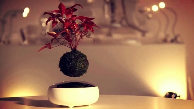 МАГНИТНАЯ ЛЕВИТАЦИЯ . СВОИМИ РУКАМИ. КАК СДЕЛАТЬ смотреть онлайн