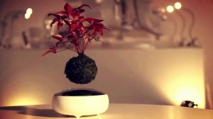 МАГНИТНАЯ ЛЕВИТАЦИЯ . СВОИМИ РУКАМИ. КАК СДЕЛАТЬ