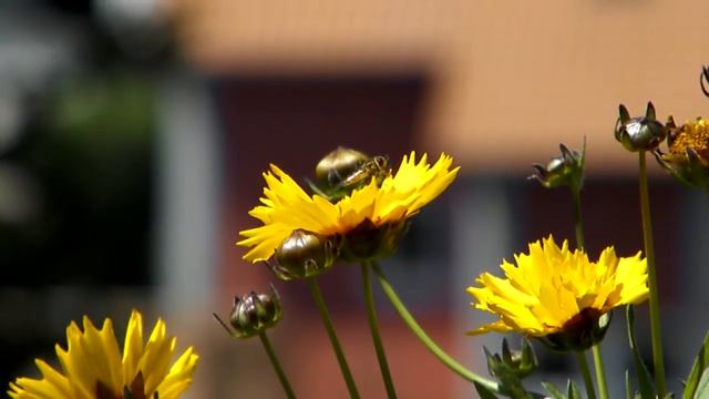 Olympus SP-600UZ / Test смотреть онлайн