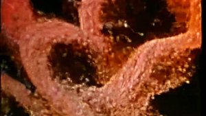 Киматика - Ганс Дженни на русском | Фильм HD | Фигуры Хладни