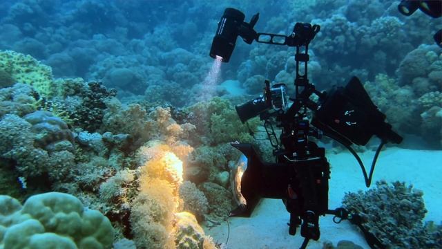 HOW TO USE UW VIDEO LIGHTS DIFFERENTLY ???