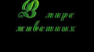 Компьютерная анимация мини презентация