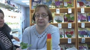 ДФ."Сенполии.Секреты мастерства". В.А.Хохлова