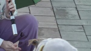 День города в Челябинске! Сквер ДК  "Станкомаш"