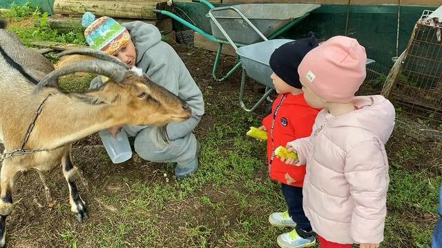 ❤️Больше чем путешествие❤️