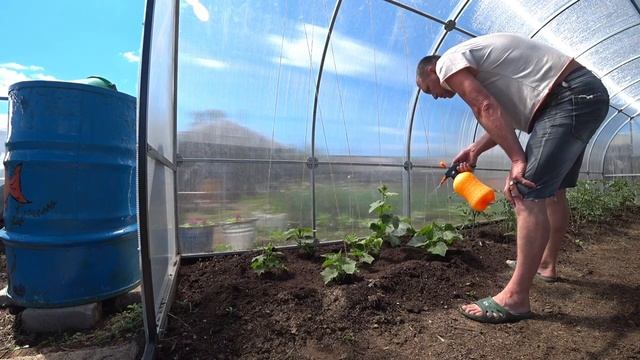 ДАЧА|СЕЗОН В ИЮНЕ|ЗАПУСТИЛИ ВОЗДУШНОГО ЗМЕЯ| смотреть онлайн