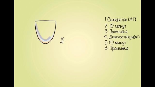 Иммуноферментный анализ (ИФА) смотреть онлайн