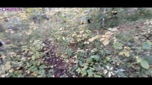 По грибы в Башкирию.