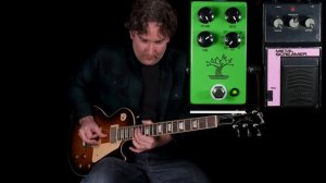 JHS Pedals Bonsai: Nine Classic Tube Screamers in One Box | Reverb Tone Report